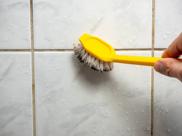 Best Mold Removal Specialists  in Oquawka, IL
