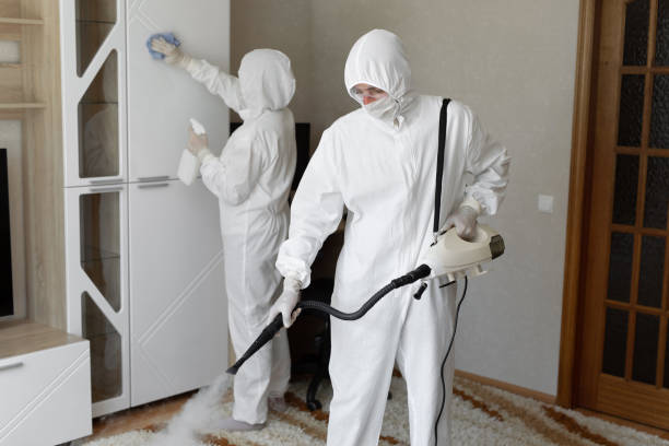 Best Mold Cleaning Services  in Oquawka, IL
