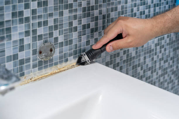 Professional Mold Removal in Oquawka, IL